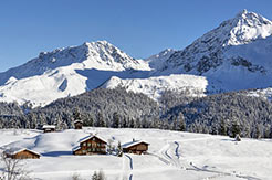 Arosa-Lenzerheide - Loipen und Ferienhäuser