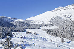 Skiurlaub im Skigebiet Flims-Laax-Falera