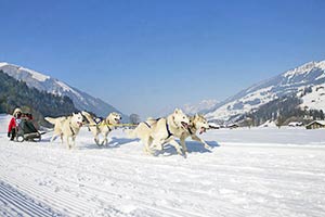 Skiurlaub Adelboden-Lenk-Frutigen, Ferienhäuser, Fewos