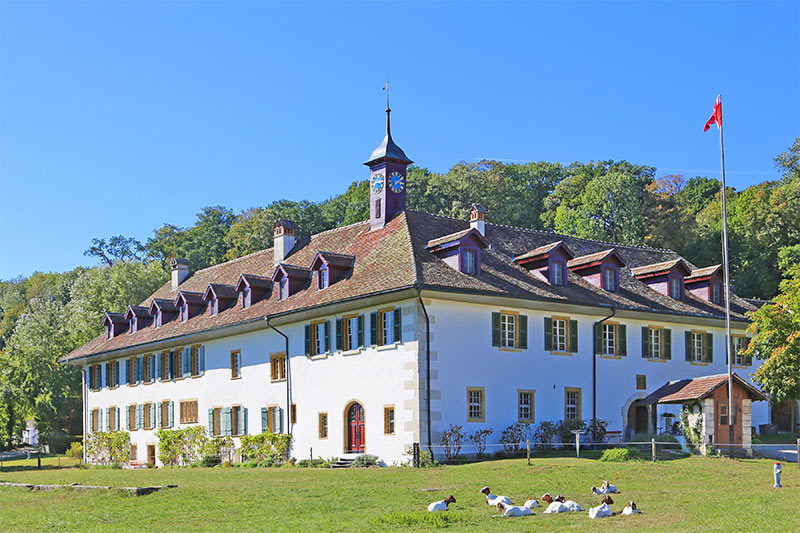 Bielersee - St. Peterinsel 