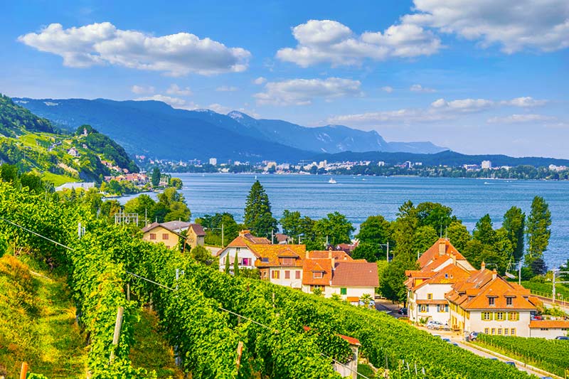Winzerdorf Tüscherz