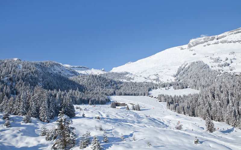 Flims-Laax-Falera - Landschaft in Flims