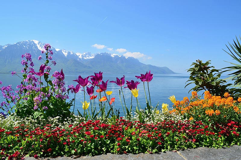 Lanschaft am Genfer See