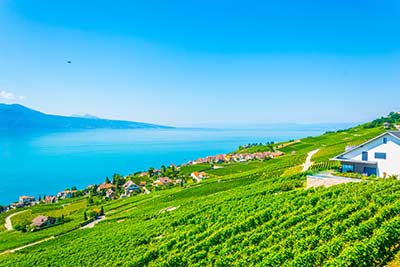 1 -Ganzjahr 9 Genfer See - Lavaux