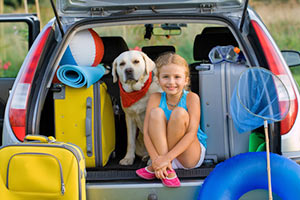 Anreise in die Schweiz im Auto mit Hund