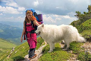 Einreisebestimmungen für Urlaub mit Hund in der Schweiz