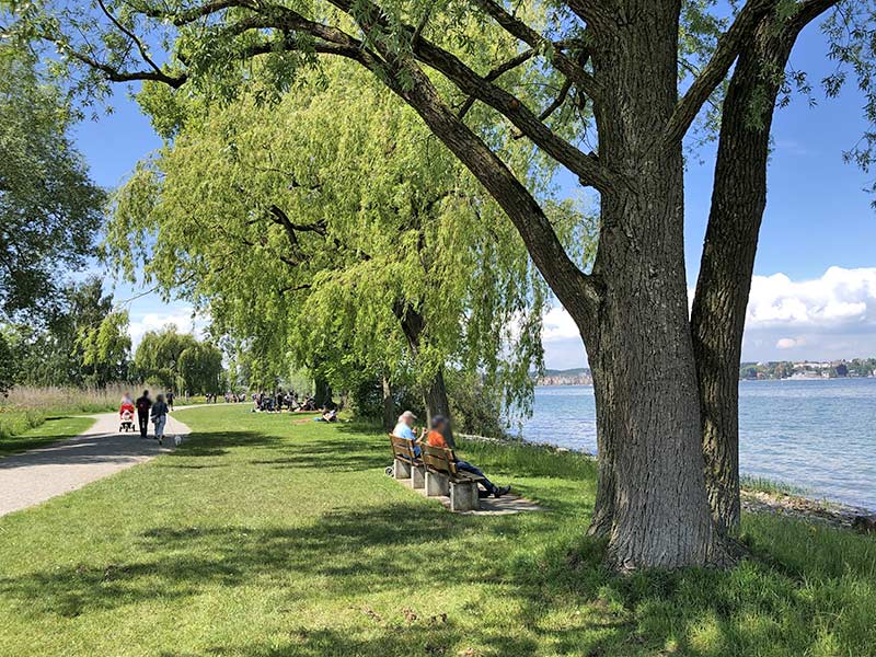 Urlaub am Bodensee in der Schweiz 5 Park und Arboretum Seeburgpark in Kreuzlingen