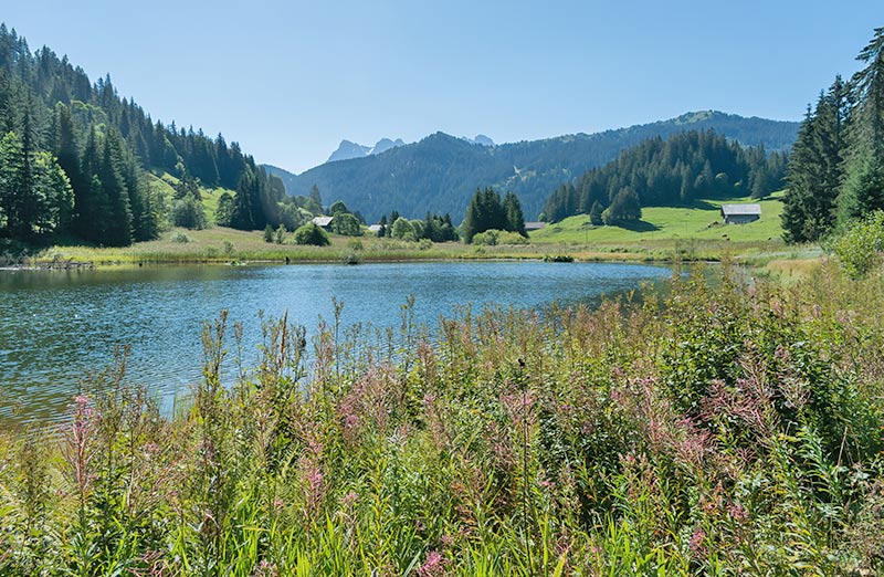 Les Portes du Soleil 6 See in Morgins