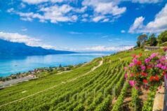 Urlaub am Genfer See