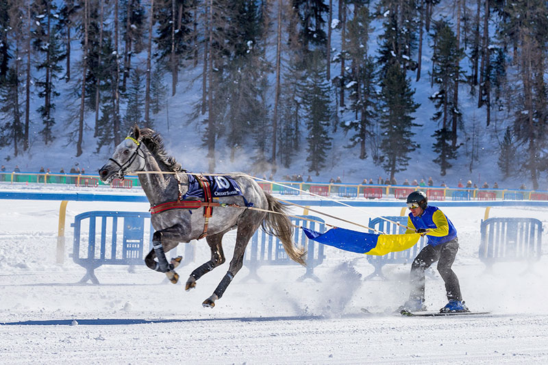 Pferdesport in St. Moritz