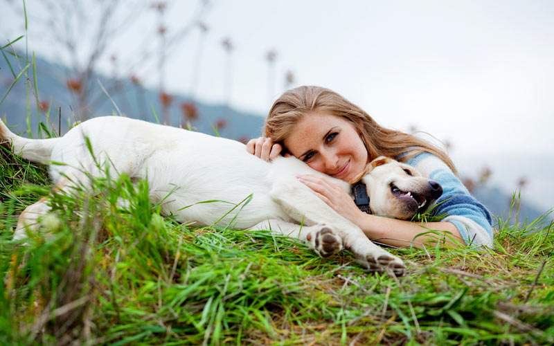 Urlaub mit Hund