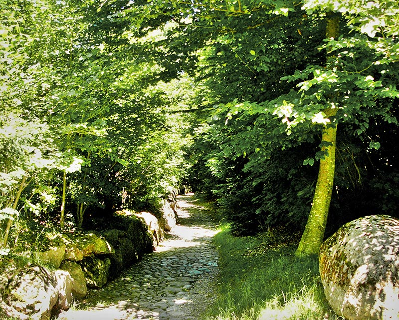 Zugersee- Hohle Gasse